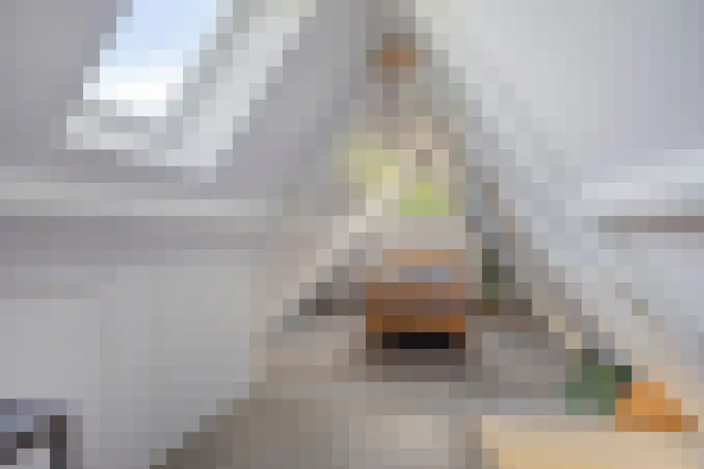 Florijn 1 Dronten thumbnail 37