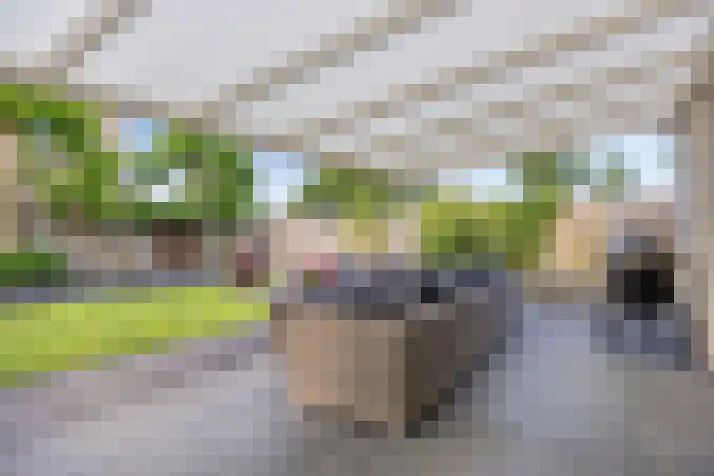 Florijn 1 Dronten thumbnail 40