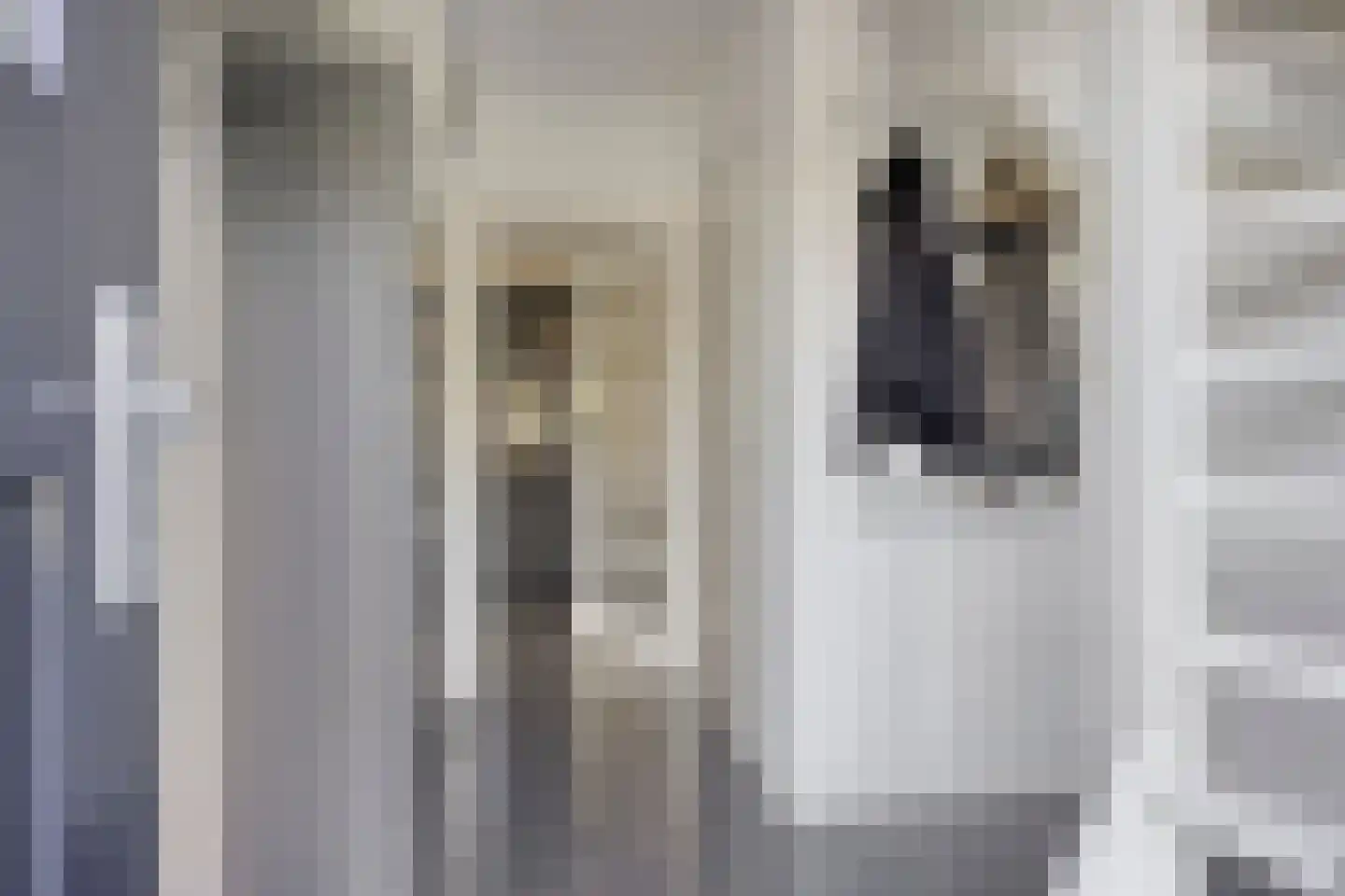 Florijn 1 Dronten thumbnail 8