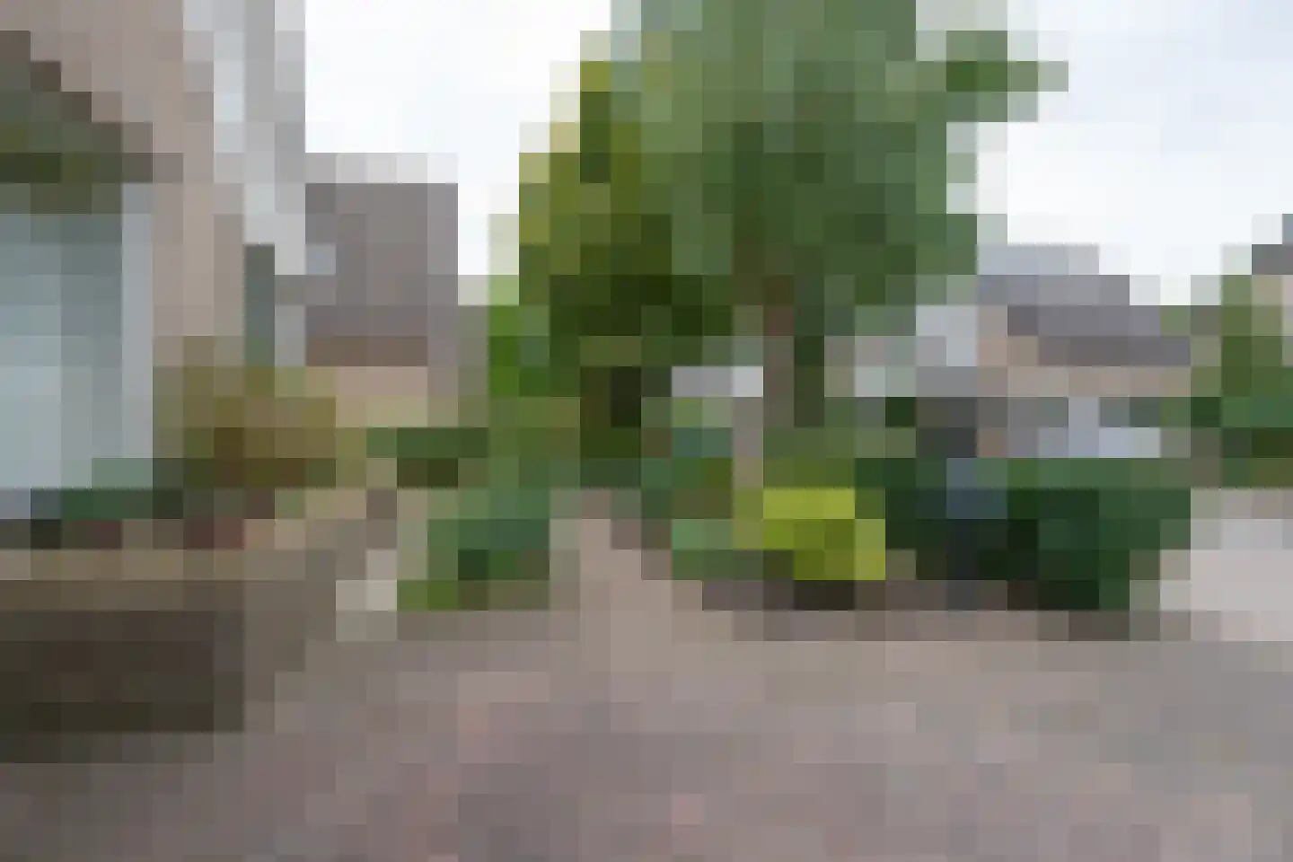 Florijn 11 Hoorn thumbnail 52