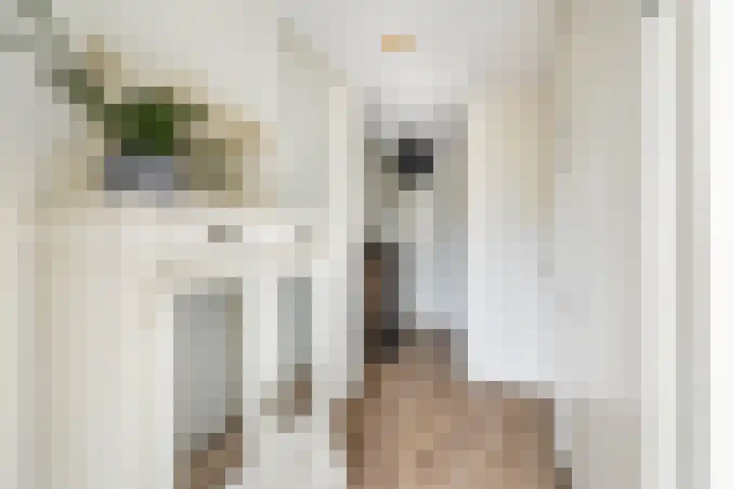 Florijn 17 Benschop thumbnail 12