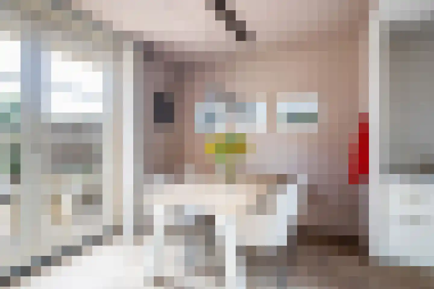Florijn 17 Benschop thumbnail 17