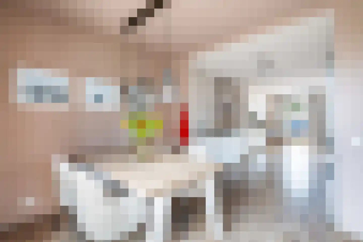 Florijn 17 Benschop thumbnail 19