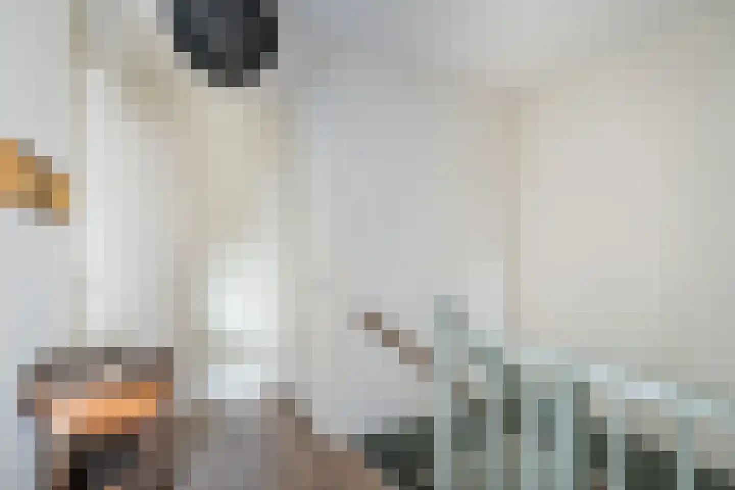 Florijn 17 Benschop thumbnail 23
