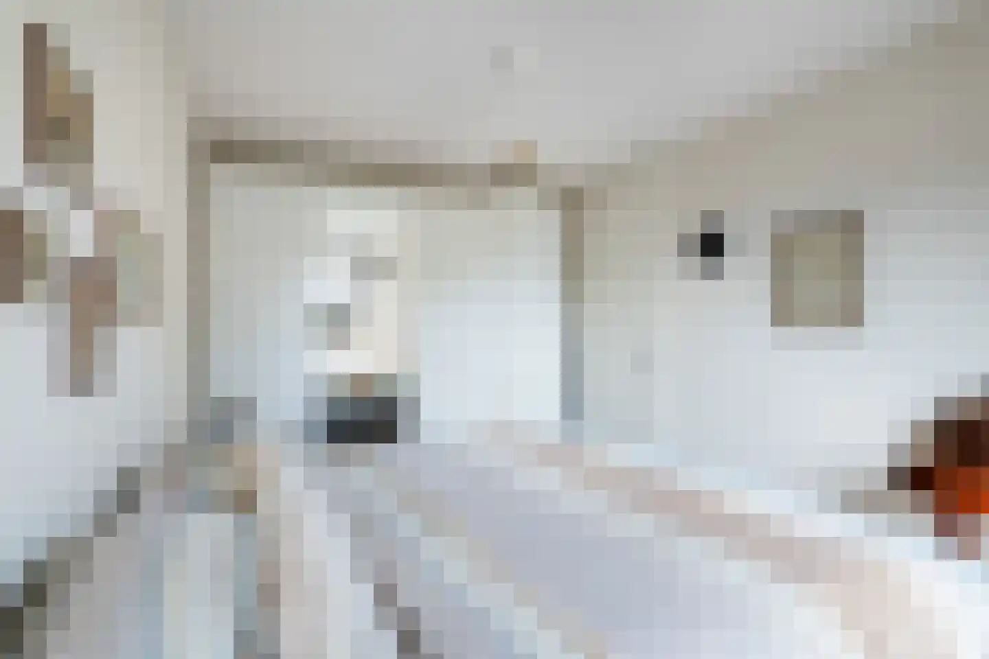 Florijn 17 Benschop thumbnail 26