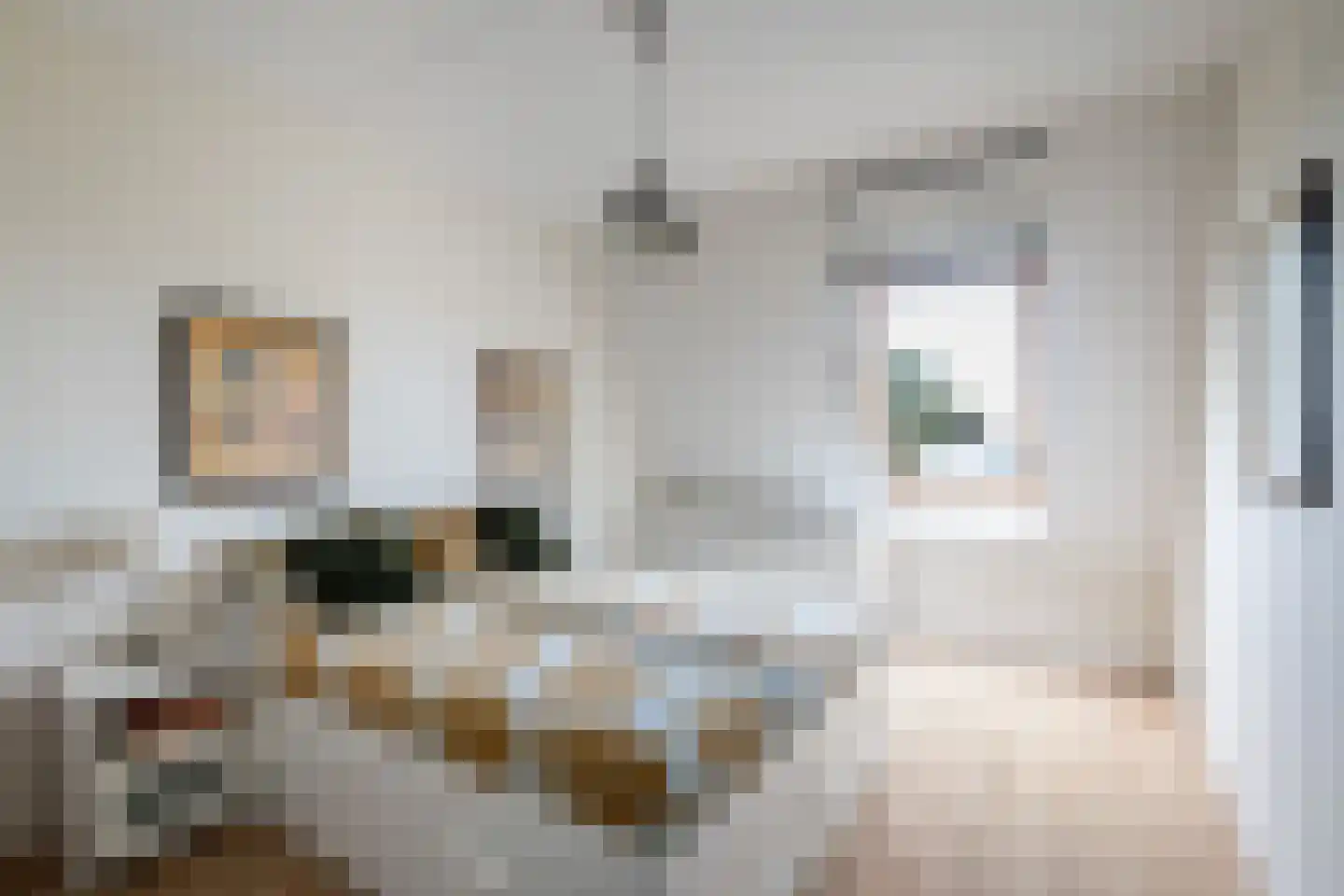 Florijn 17 Benschop thumbnail 27