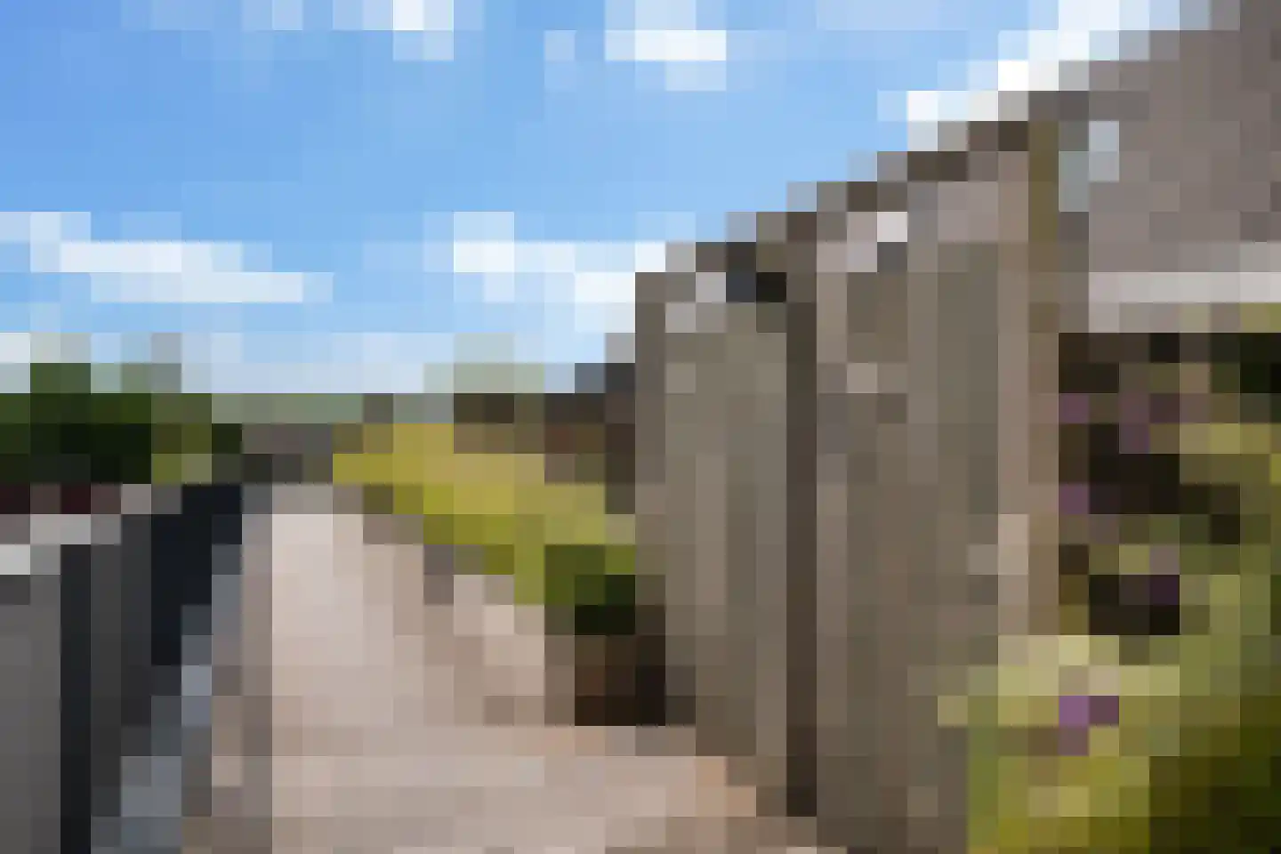 Florijn 17 Benschop thumbnail 35