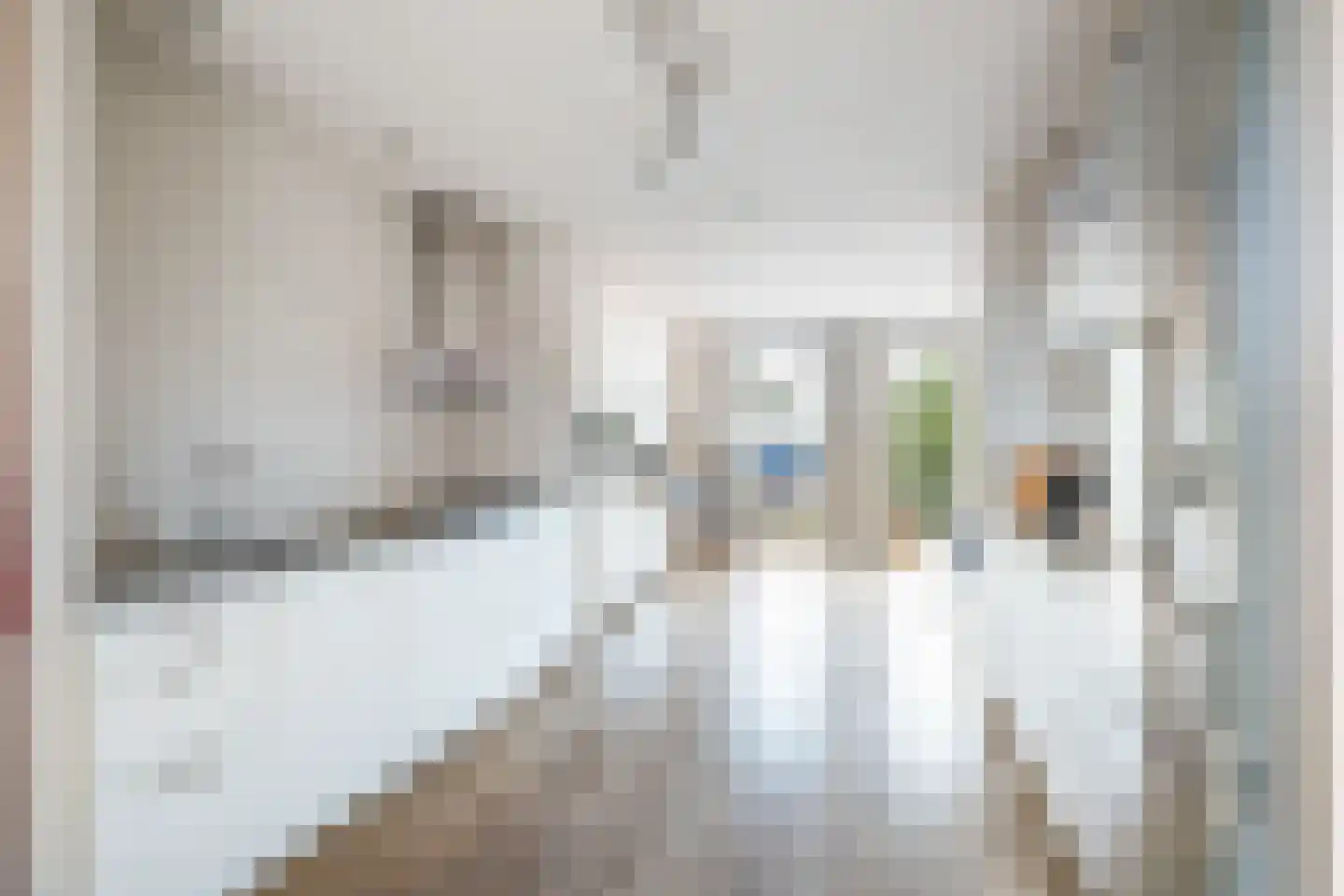 Florijn 17 Benschop thumbnail 5