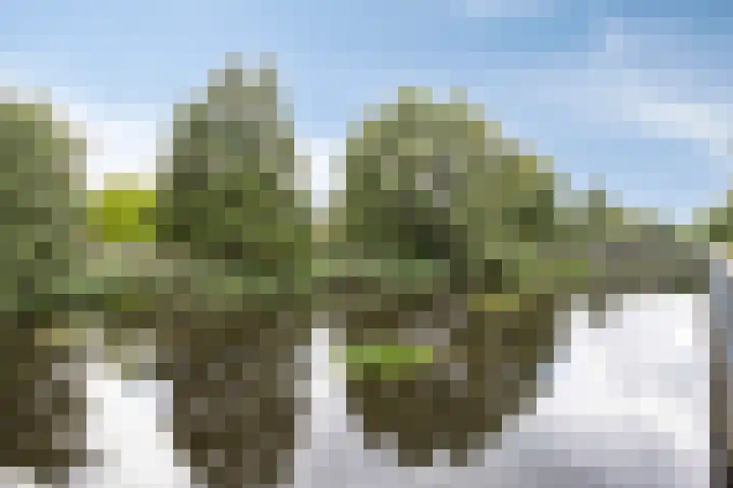 Florijn 26 Uden thumbnail 27