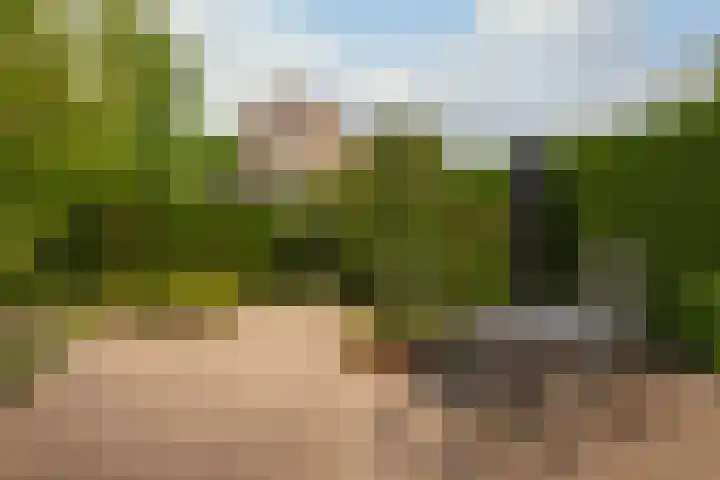 Florijn 31 Hoorn thumbnail 22