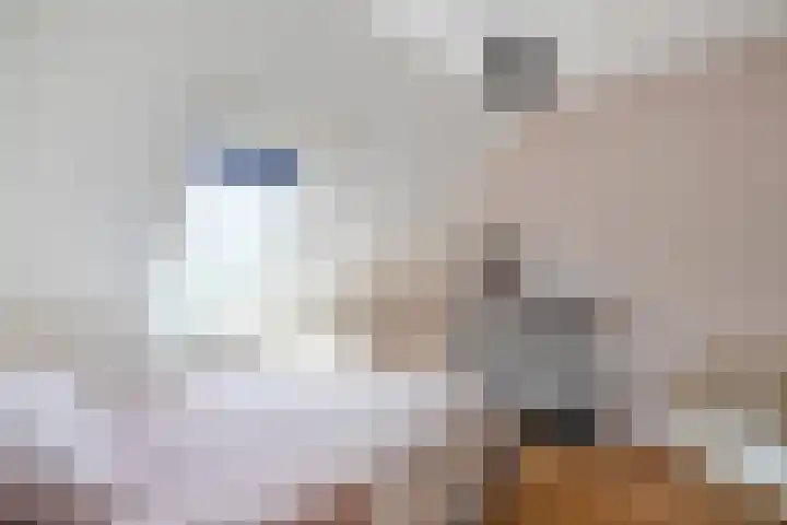Florijn 32 Hoorn thumbnail 26