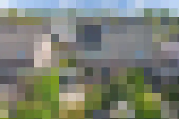 Florijn 32 Hoorn thumbnail 37