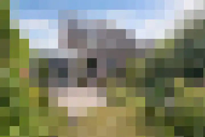 Florijn 32 Hoorn thumbnail 4