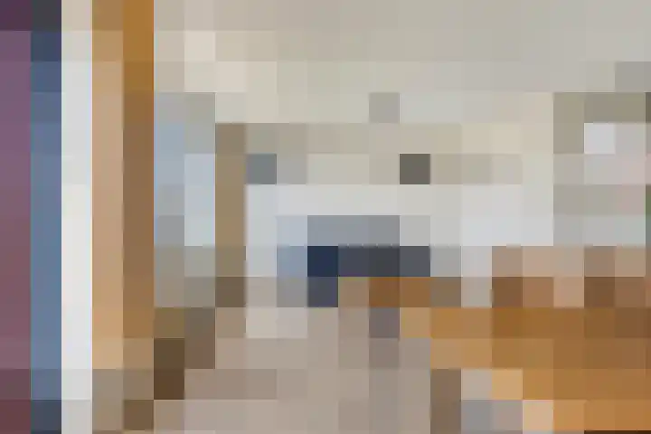 Florijn 35 Volendam thumbnail 6
