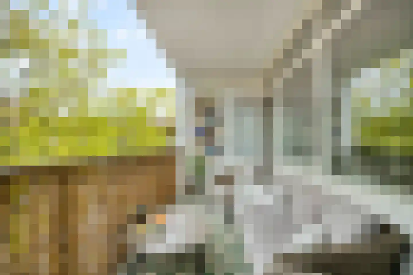 Florijn 39 Leiderdorp thumbnail 10