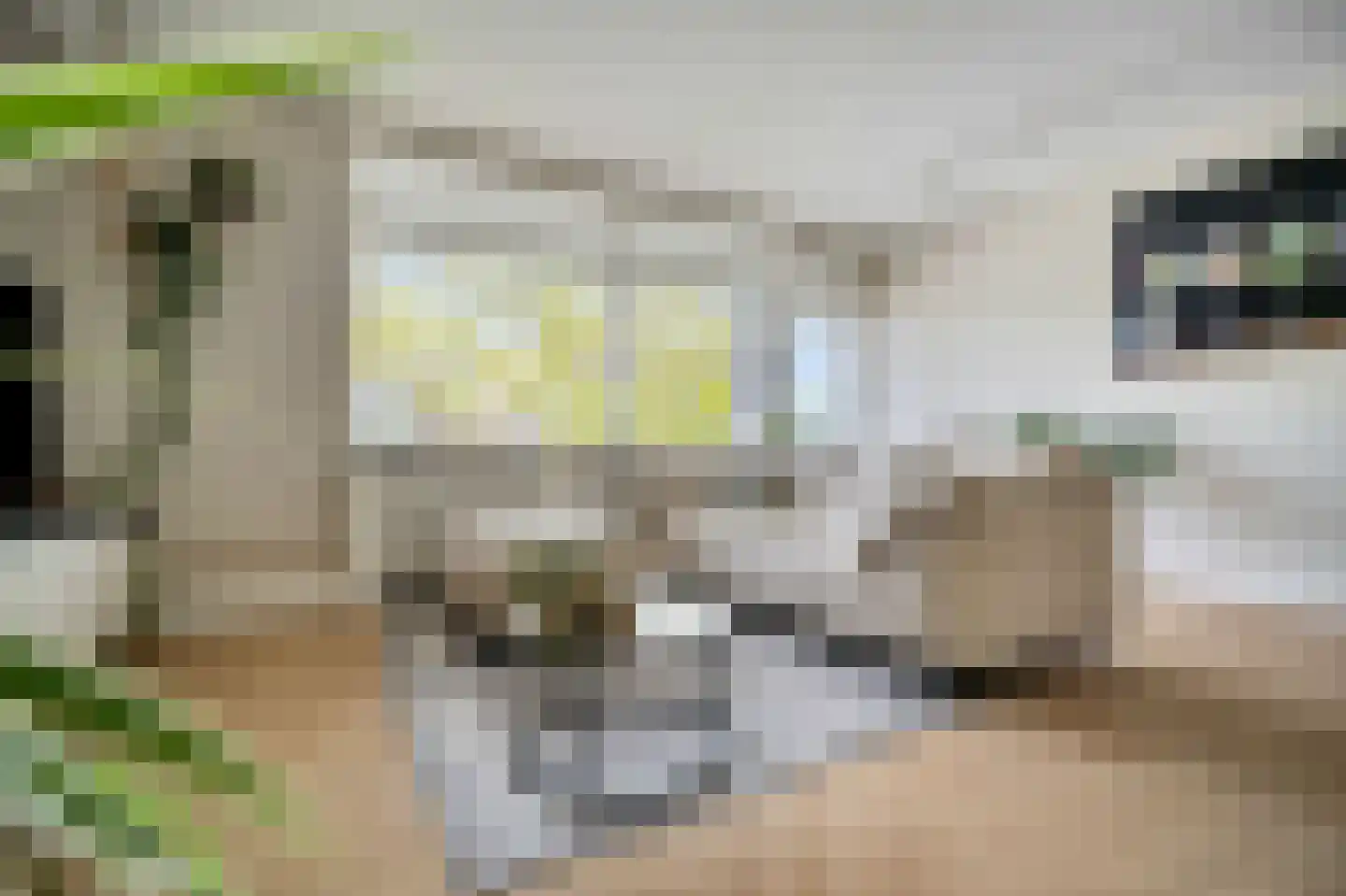 Florijn 39 Leiderdorp thumbnail 11