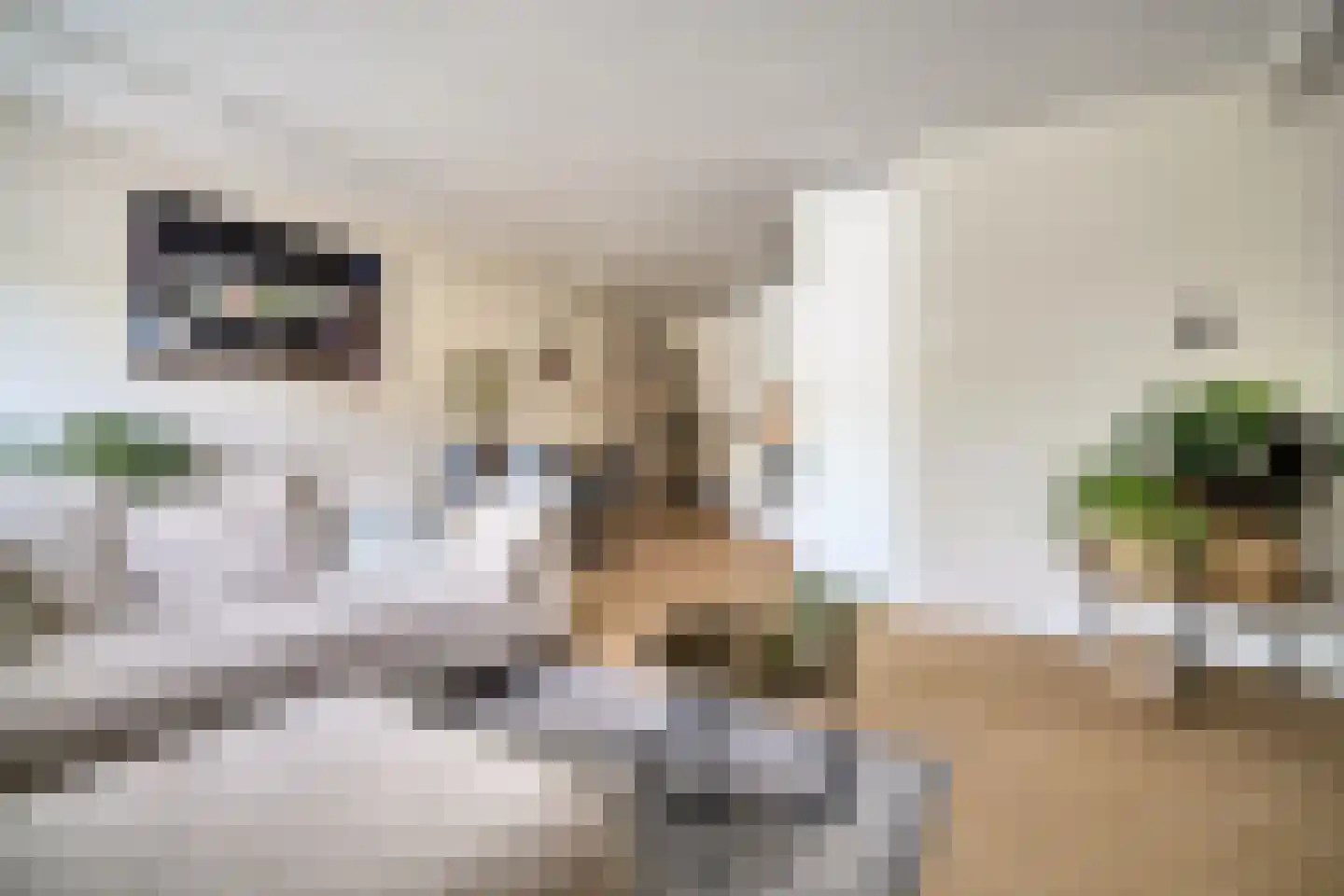 Florijn 39 Leiderdorp thumbnail 13