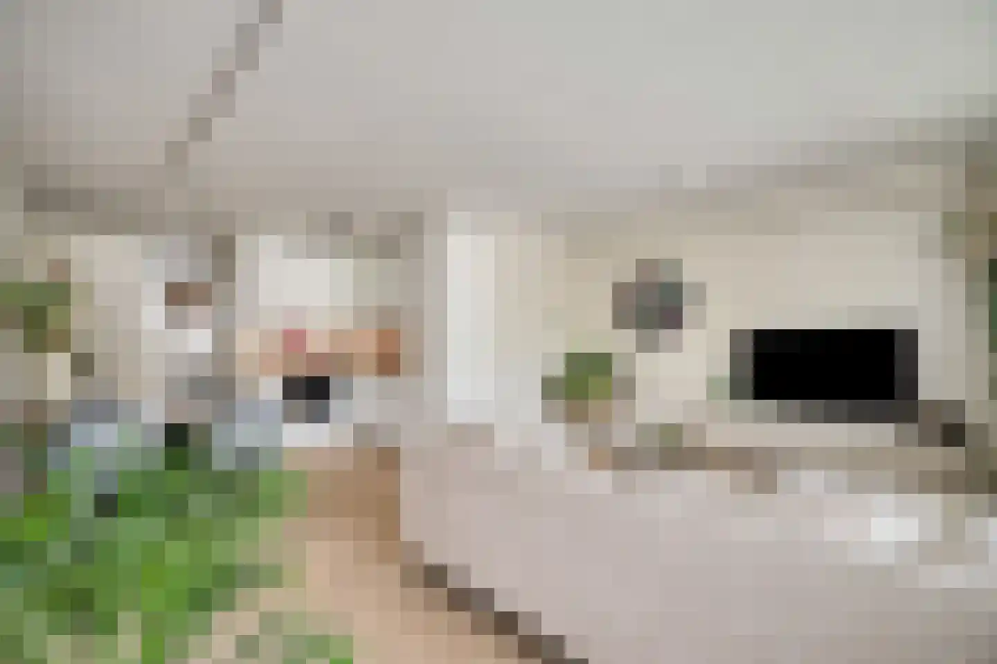 Florijn 39 Leiderdorp thumbnail 4