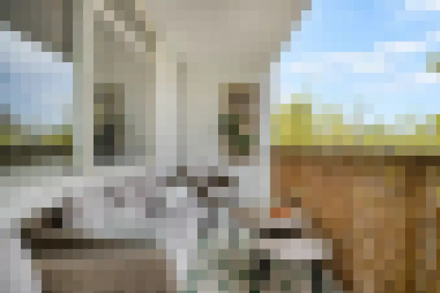Florijn 39 Leiderdorp thumbnail 8
