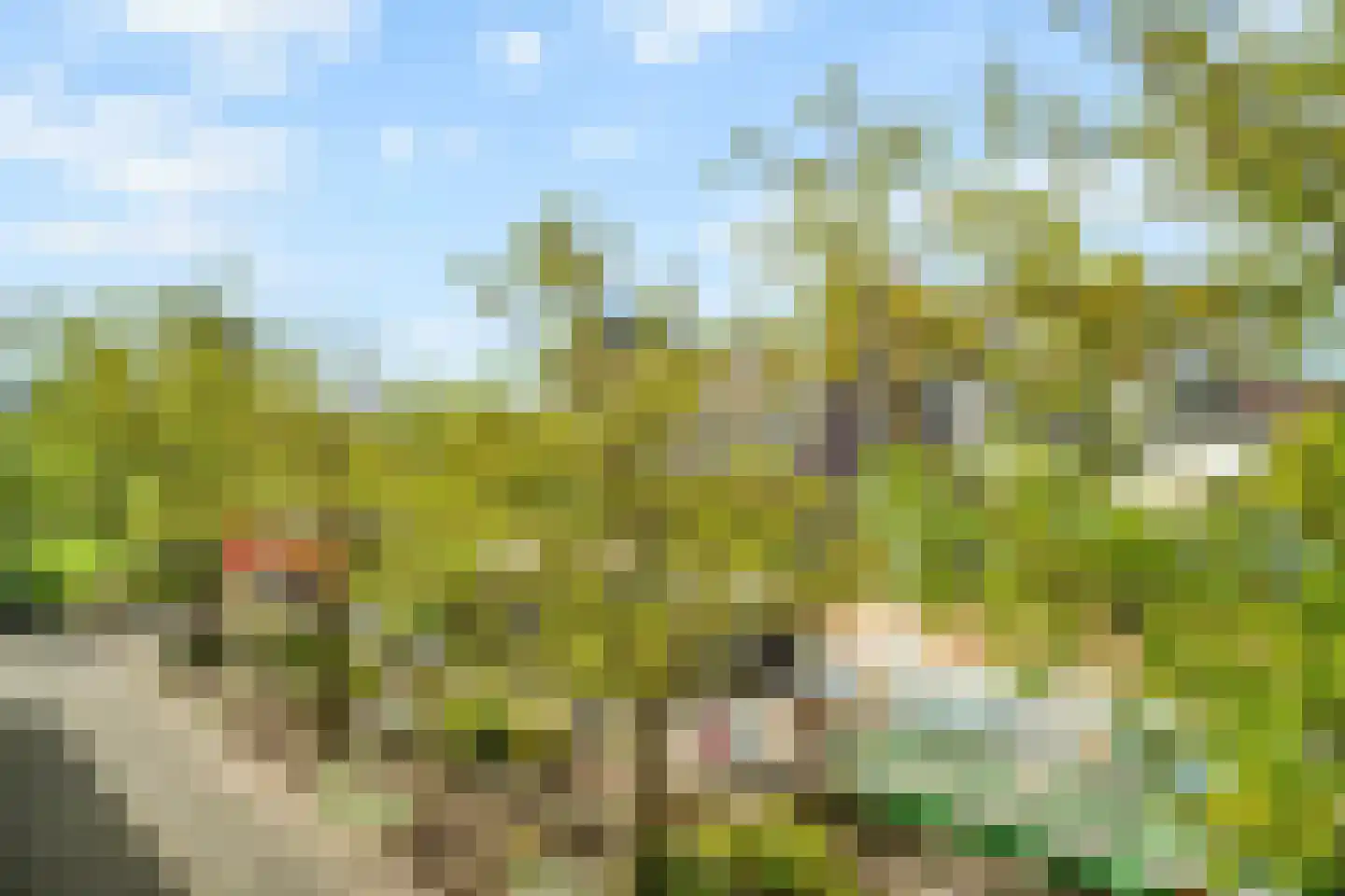 Florijn 39 Leiderdorp thumbnail 9