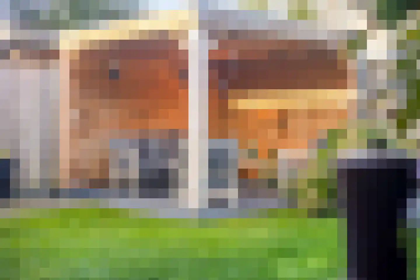 Florijn 41 Dronten thumbnail 36