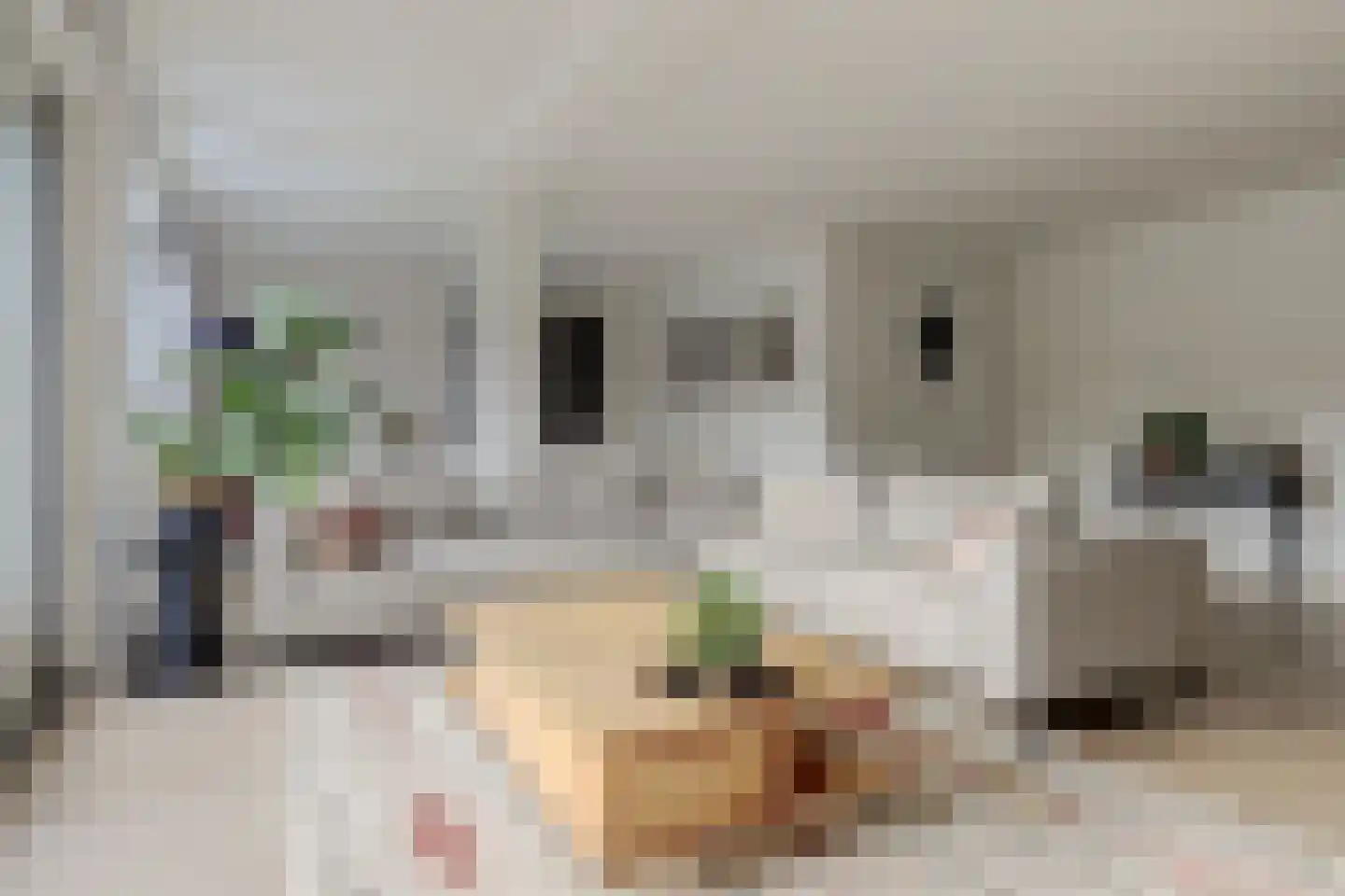 Florijn 44 Dronten thumbnail 10