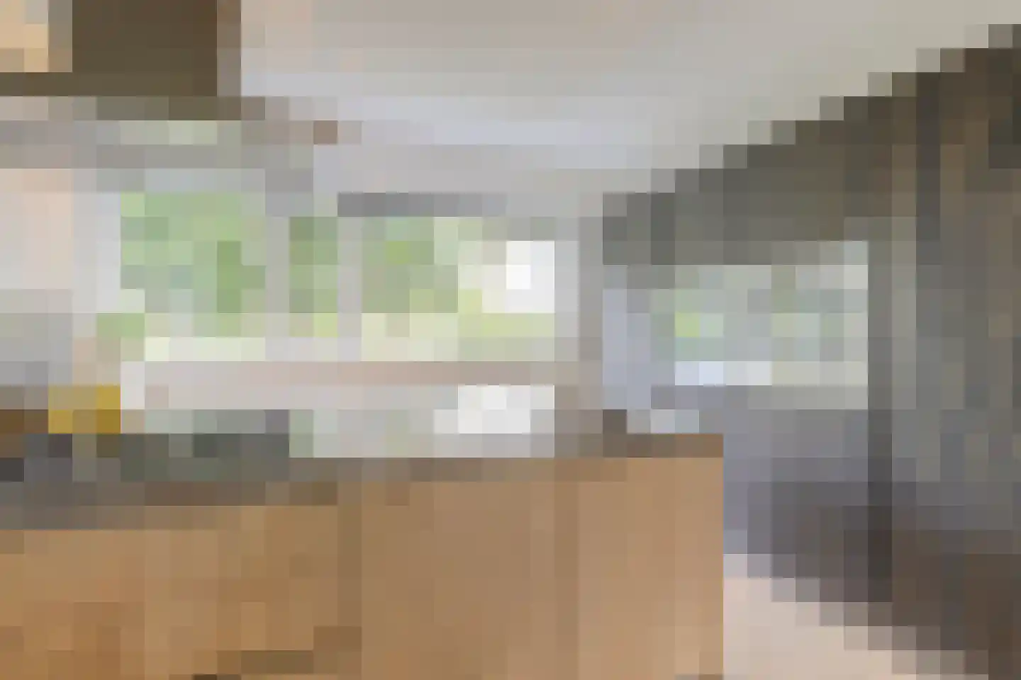 Florijn 44 Dronten thumbnail 17