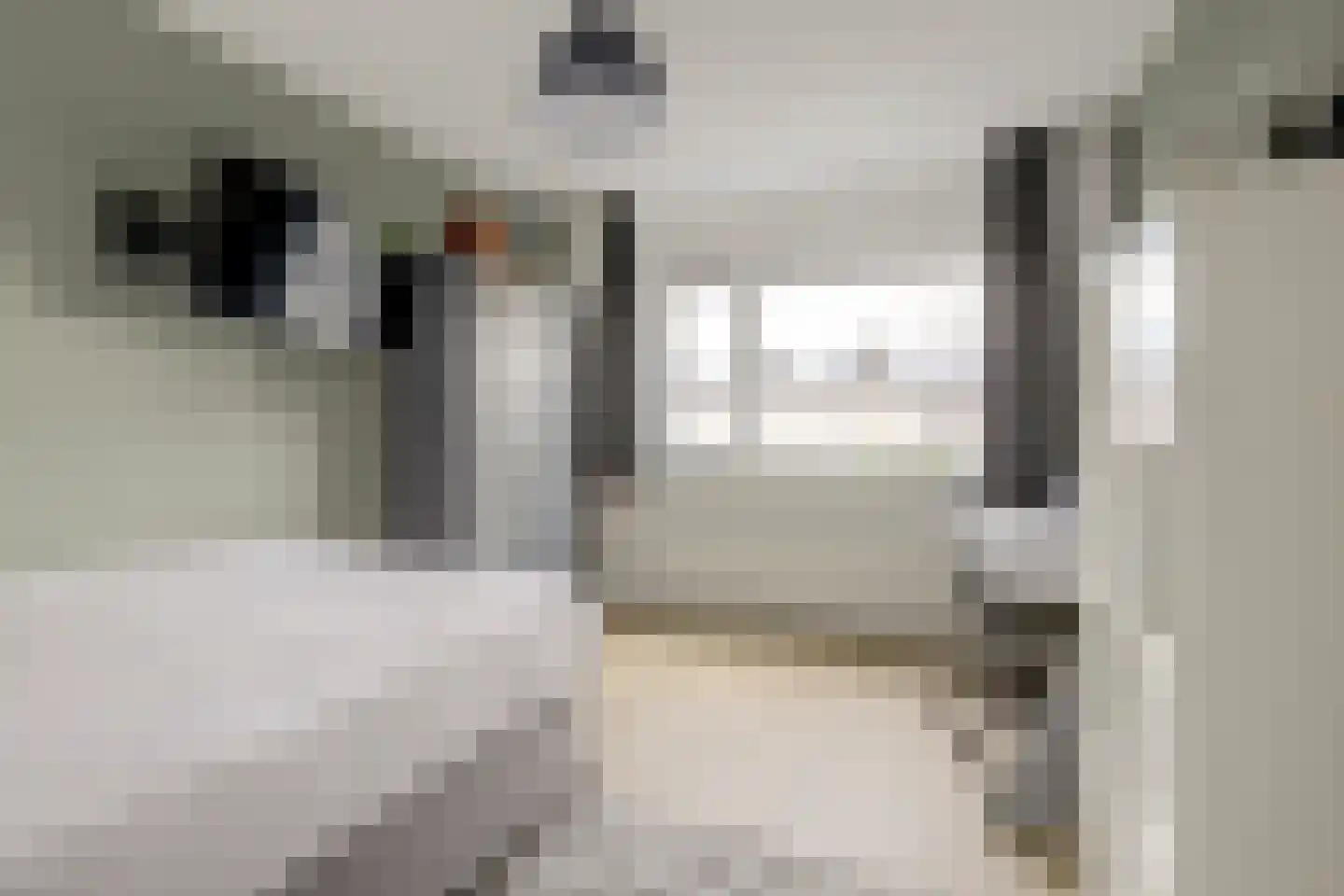 Florijn 44 Dronten thumbnail 26