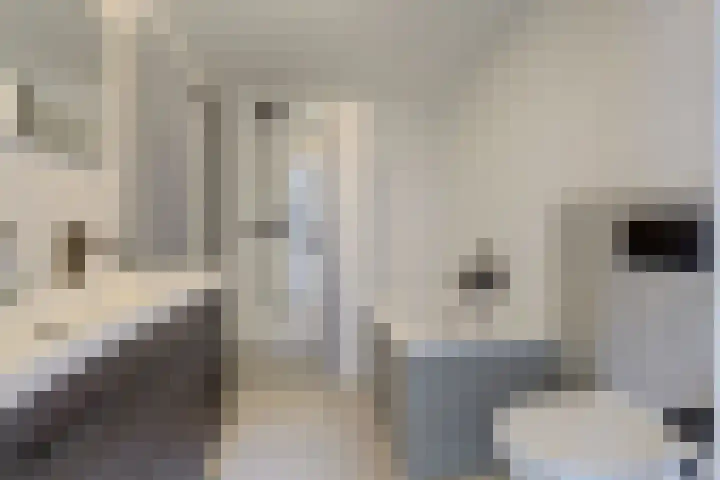 Florijn 44 Dronten thumbnail 30