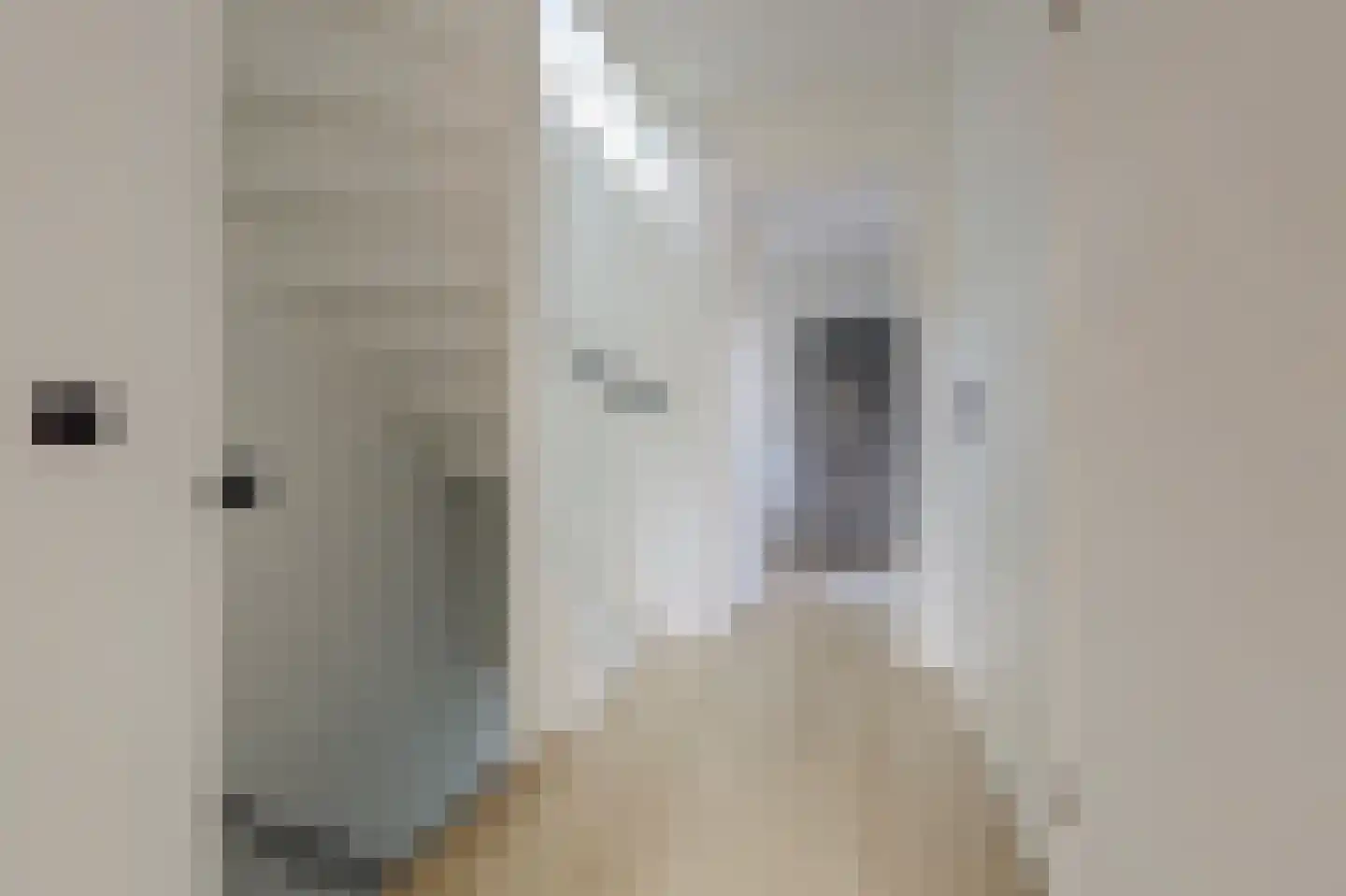 Florijn 44 Dronten thumbnail 33