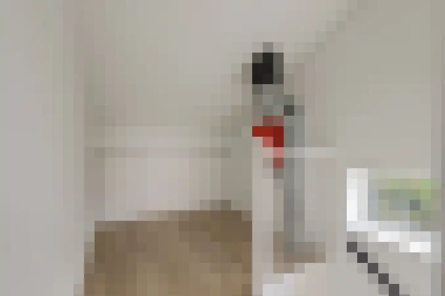Florijn 44 Dronten thumbnail 34