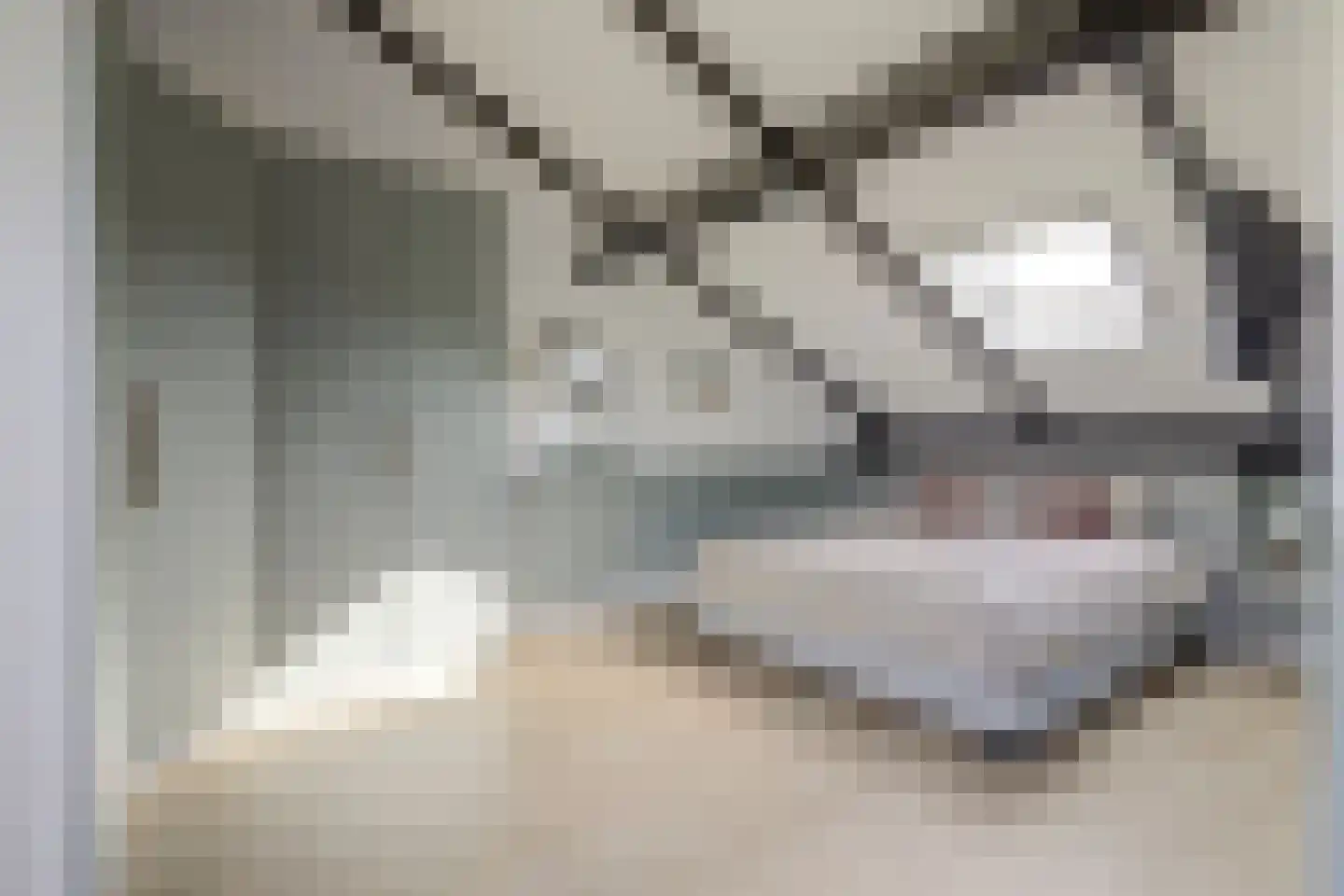 Florijn 44 Dronten thumbnail 35