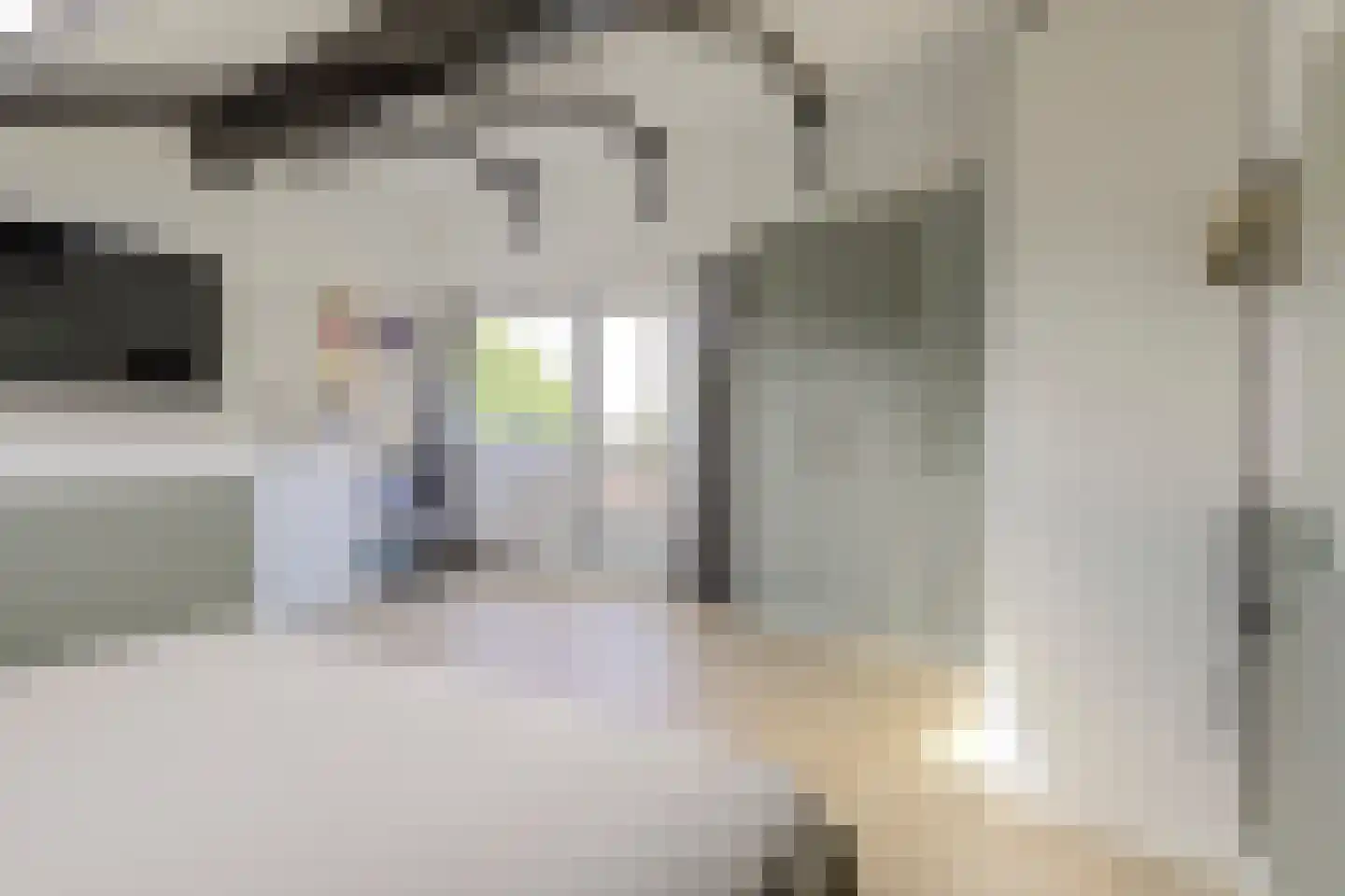 Florijn 44 Dronten thumbnail 36