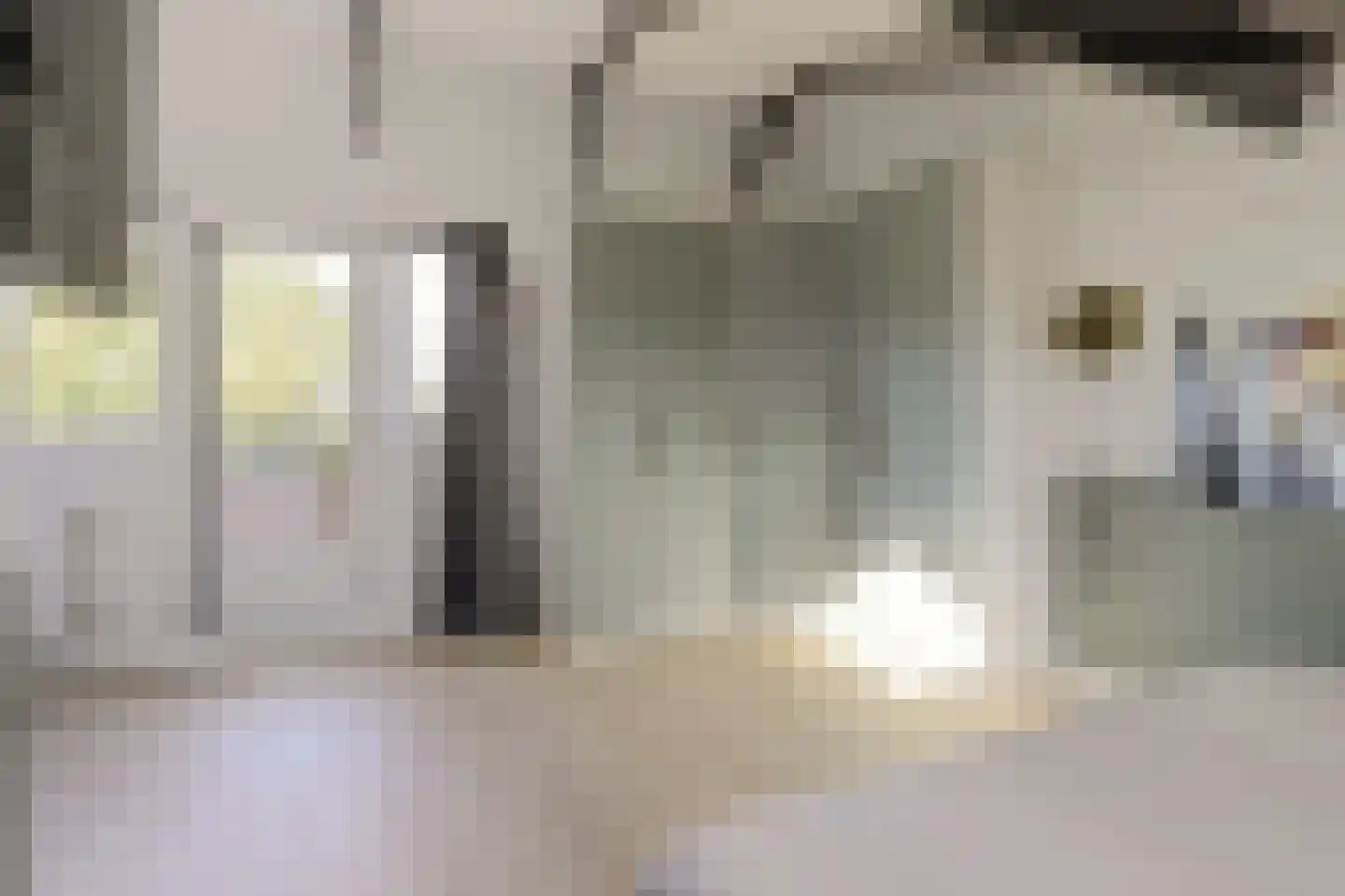 Florijn 44 Dronten thumbnail 38