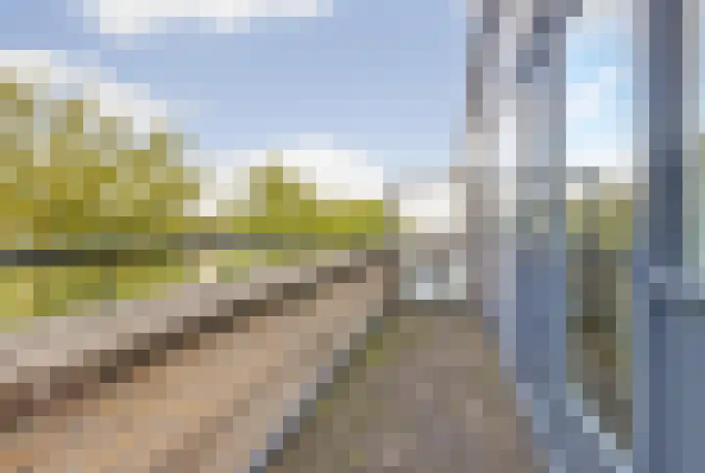 Florijn 44 Dronten thumbnail 39