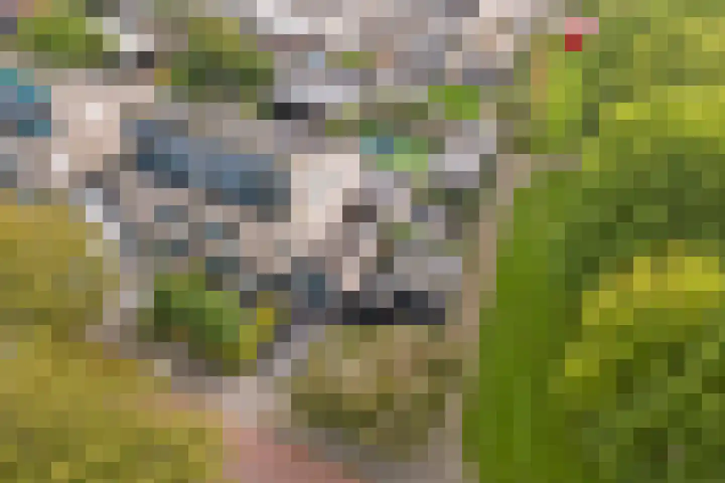 Florijn 44 Dronten thumbnail 5