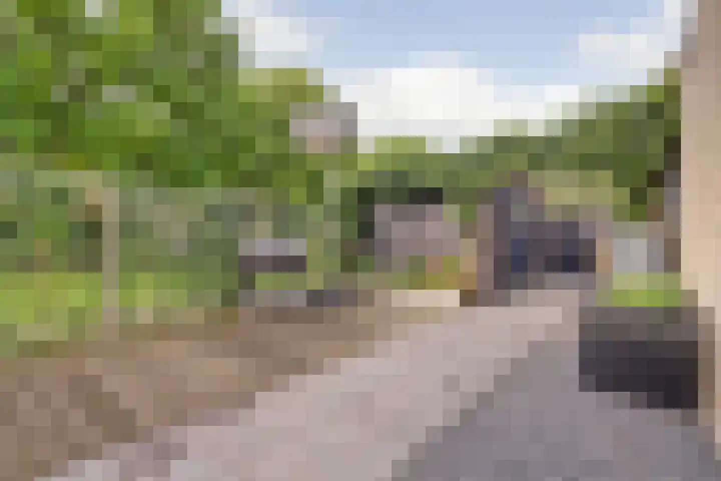 Florijn 44 Dronten thumbnail 58