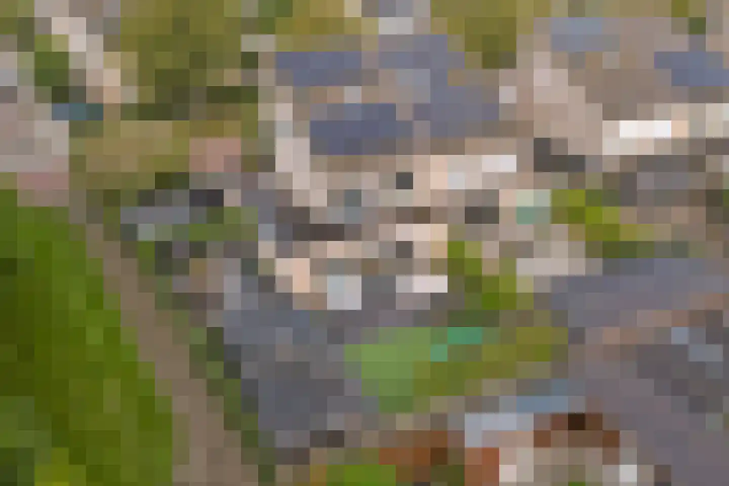 Florijn 44 Dronten thumbnail 68