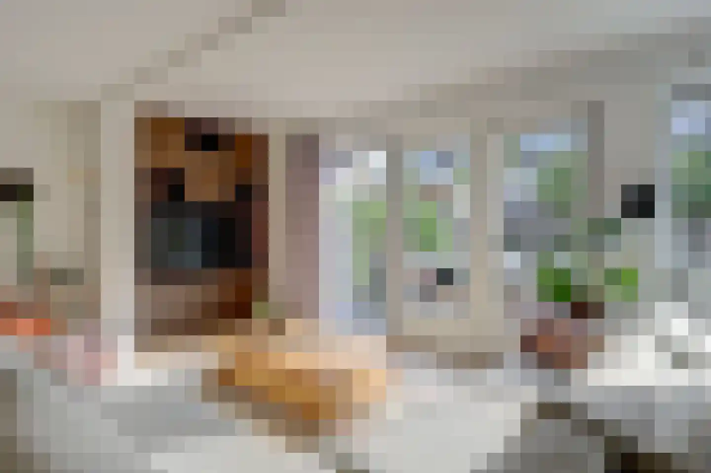Florijn 44 Dronten thumbnail 7