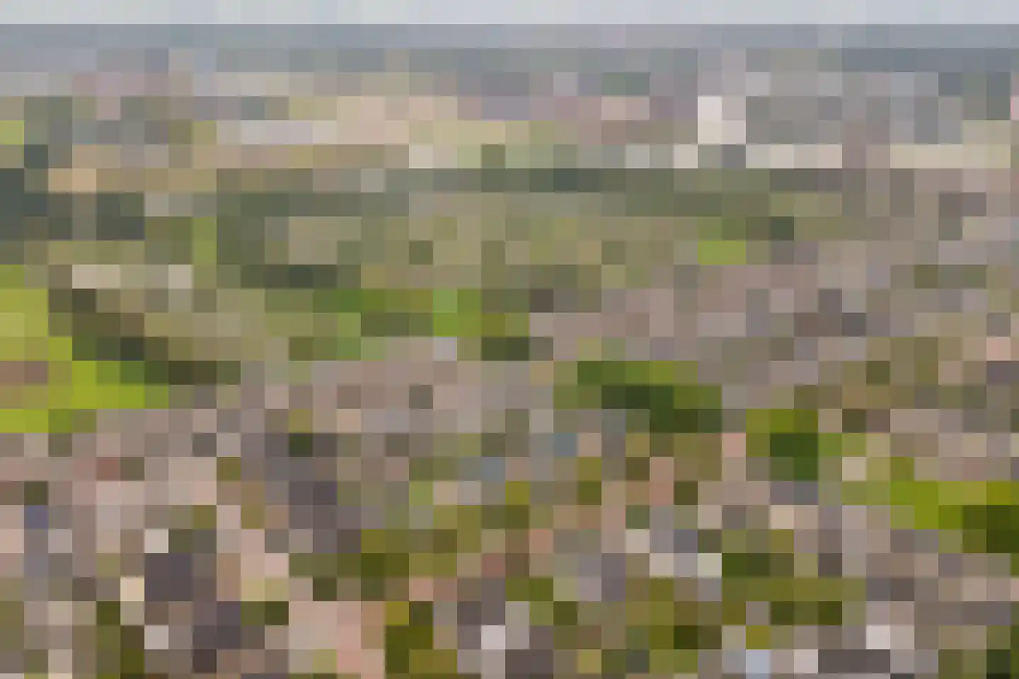 Florijn 44 Dronten thumbnail 73