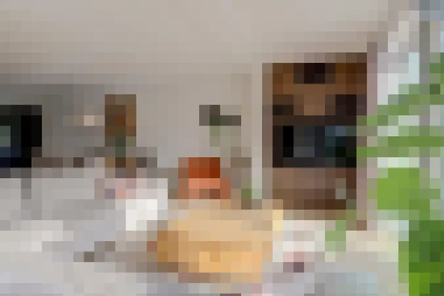 Florijn 44 Dronten thumbnail 9