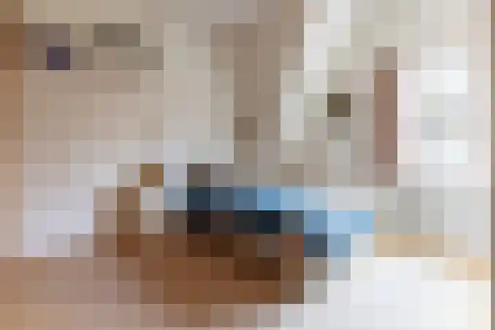 Florijn 47 Leiderdorp thumbnail 33