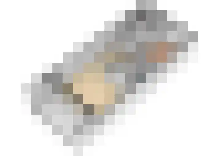Florijn 47 Leiderdorp thumbnail 34