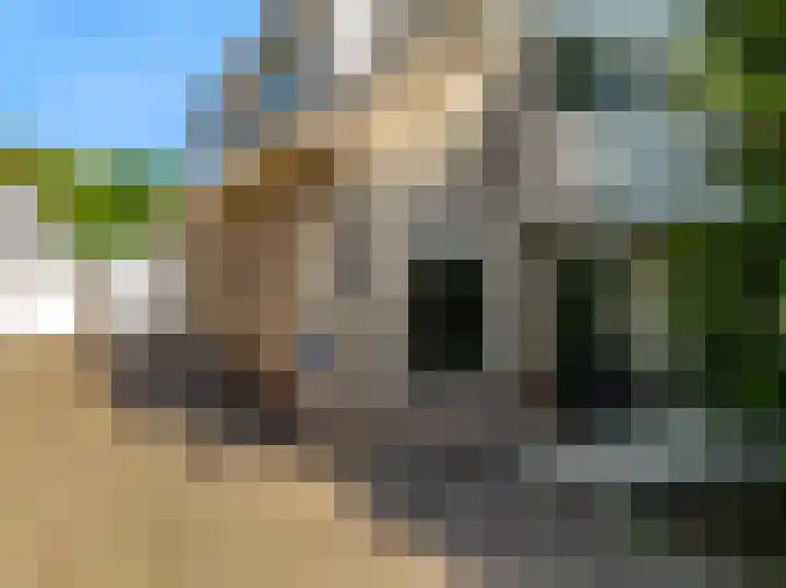 Florijn 5 Hoorn thumbnail 10