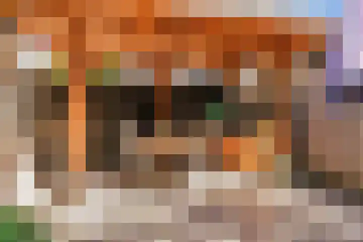 Florijn 5 Hoorn thumbnail 13