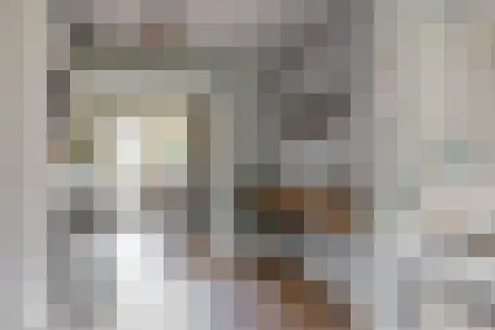 Florijn 5 Hoorn thumbnail 28