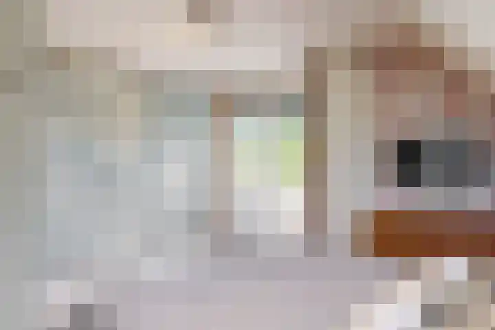 Florijn 5 Hoorn thumbnail 37