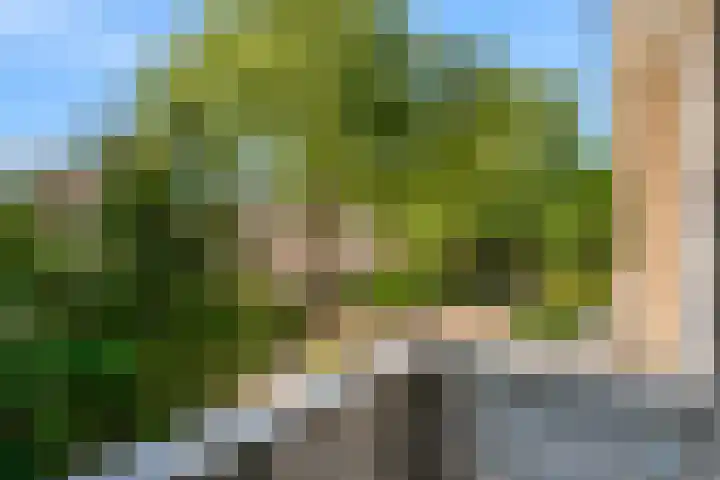 Florijn 5 Hoorn thumbnail 39
