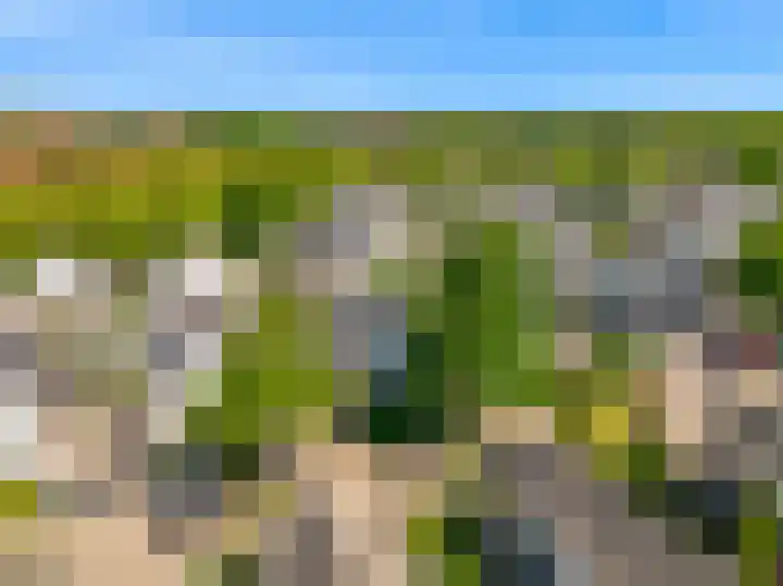 Florijn 5 Hoorn thumbnail 4