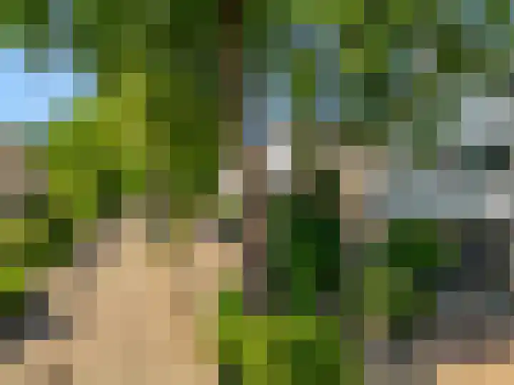Florijn 5 Hoorn thumbnail 5